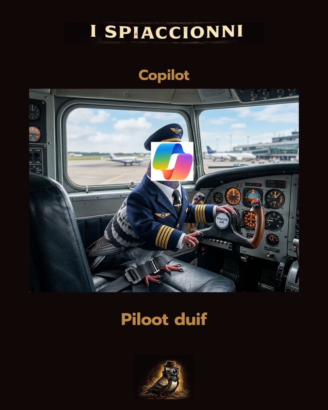 Piloot Duif