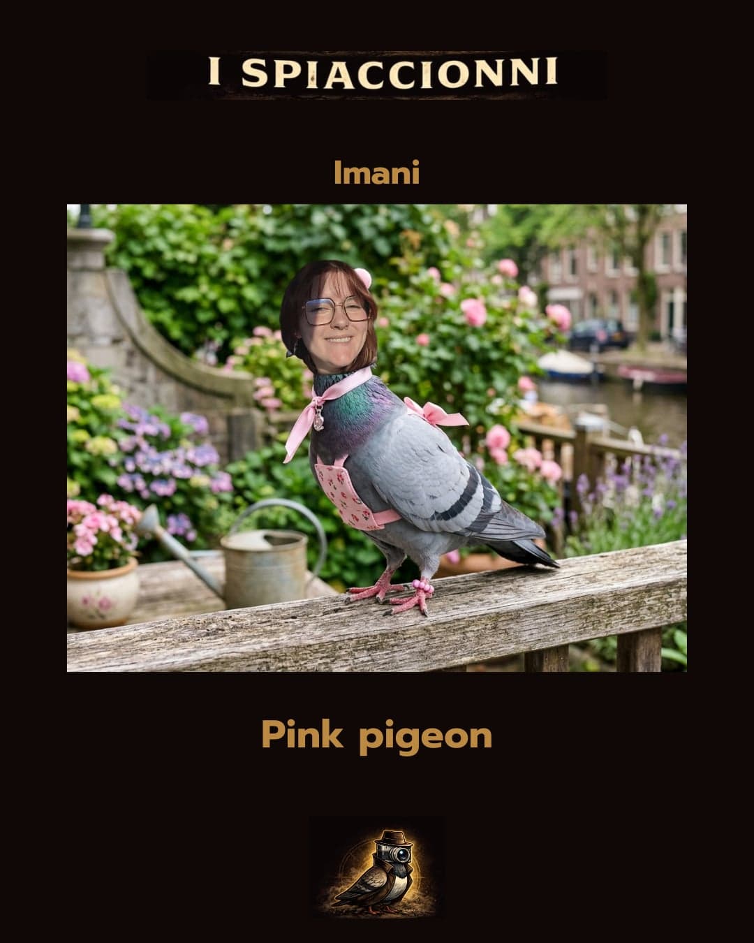 Pink Pigeon