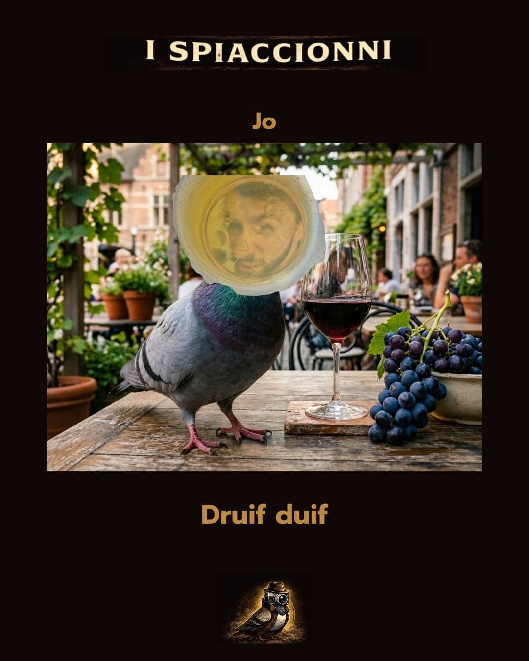Druif Duif