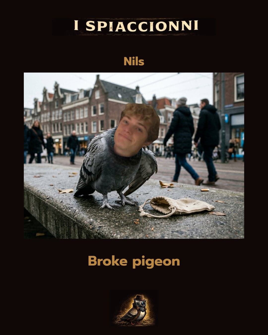 Broke Pigeon