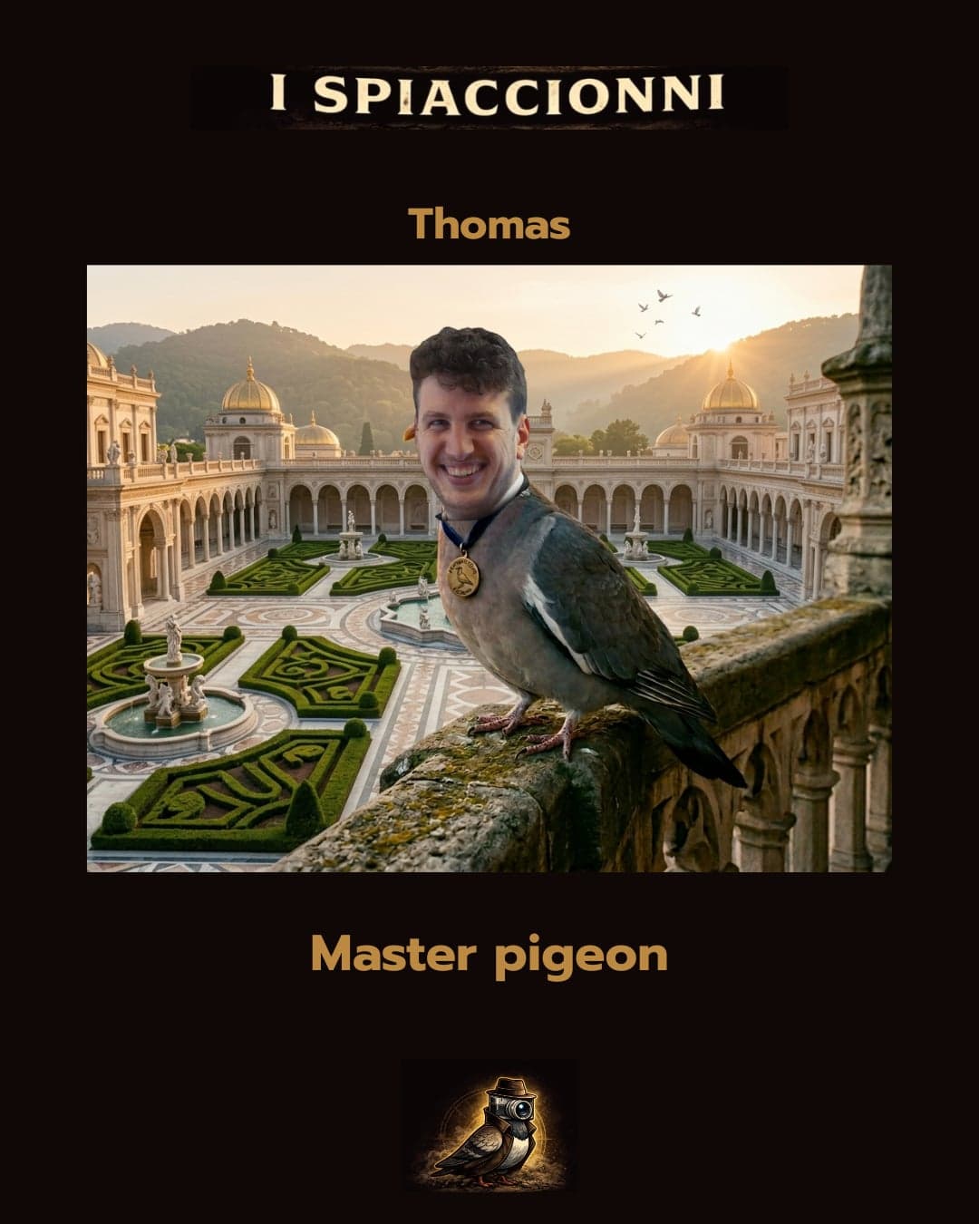 Master Pigeon
